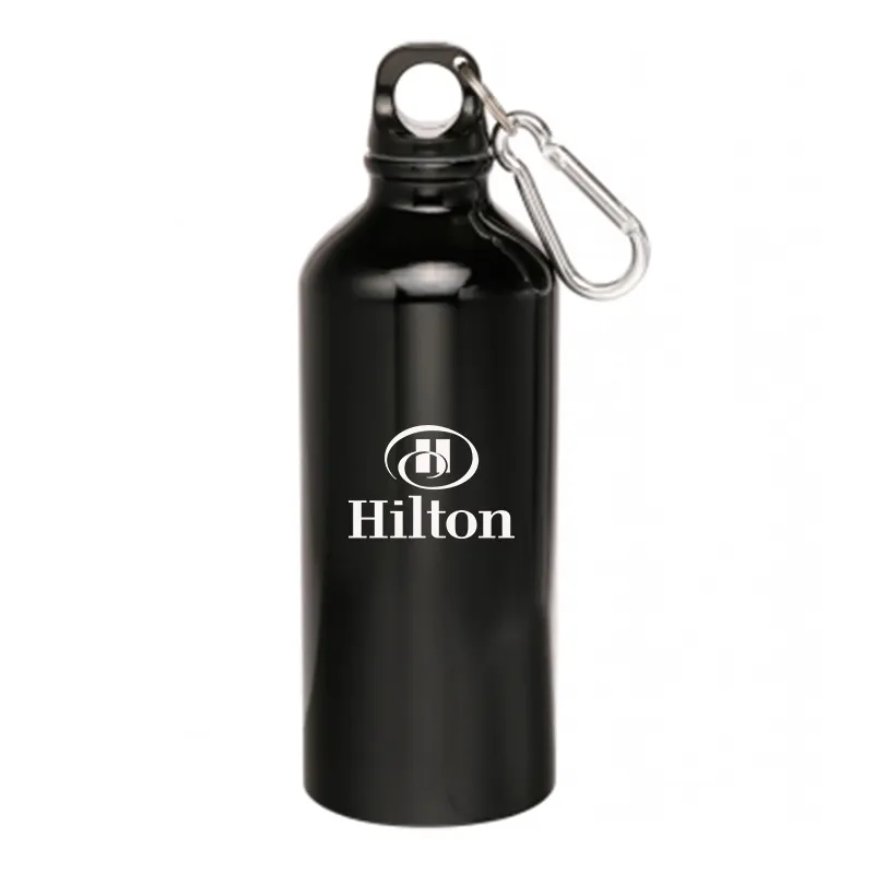 22oz Stainless Steel Water Bottles